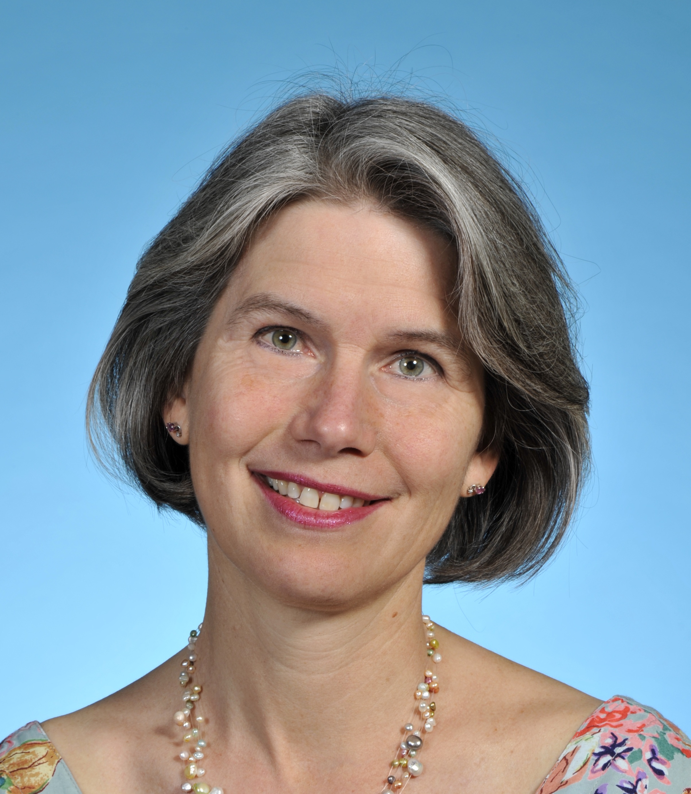 F&oslash;rsteamanuensis