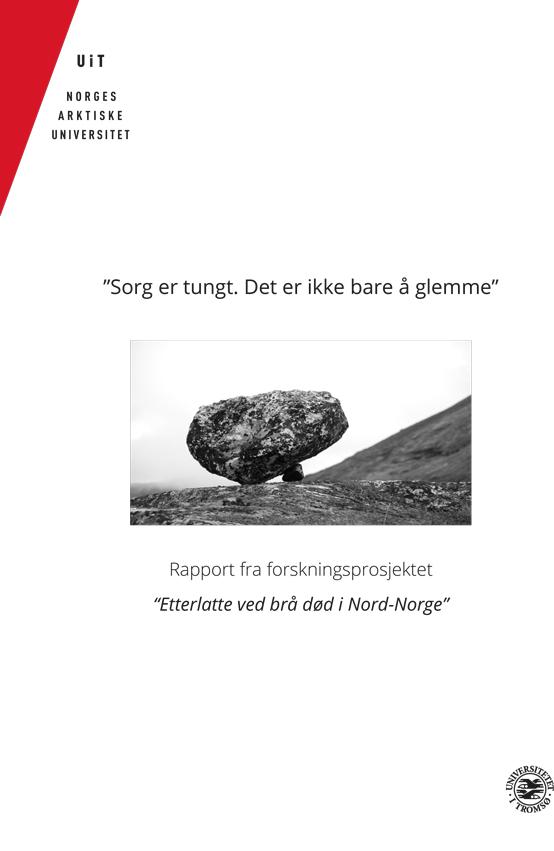 Silvikin+Anne+rapport+02+2015_v5-1.jpg Forside rapport