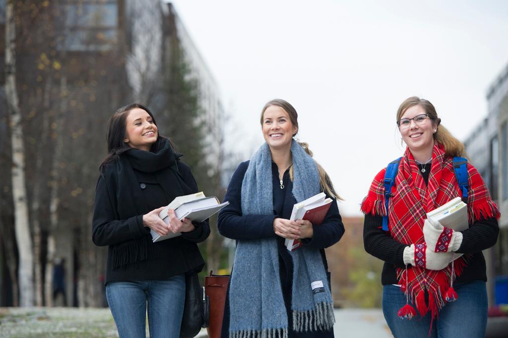 Bilde-Nordisk språk og litteratur - bachelor