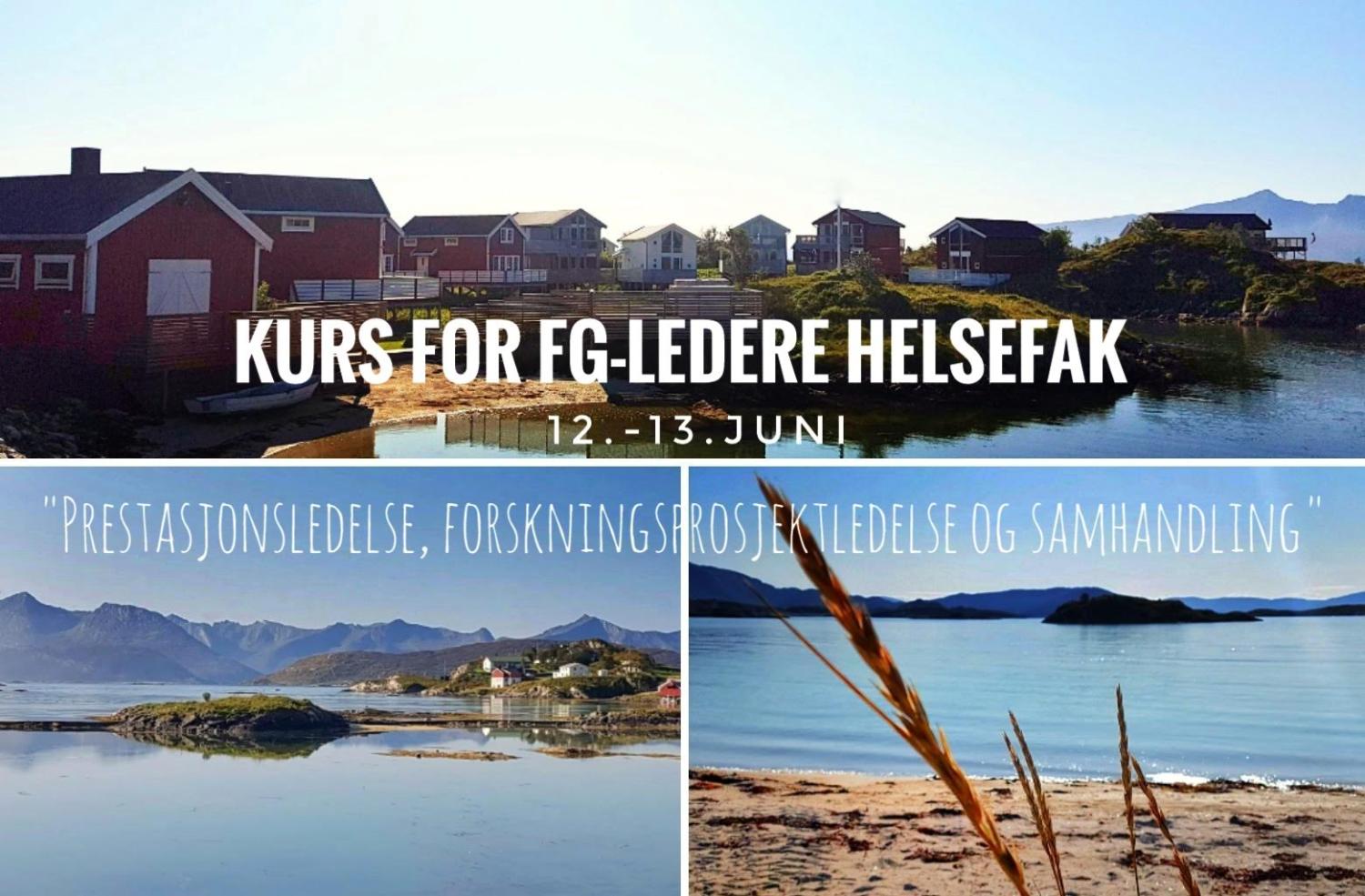 Illustrasjons-/bannerbilde for Kurs for forskningsgruppeledere ved Helsefak: «Prestasjonsledelse, forskningsprosjektledelse og samhandling»