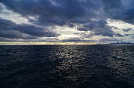 Svalbard foto av Signe Busch.JPG