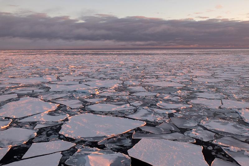 Havis nord for Svalbard Havet fullt av små isflak. Raud solnedgang i det fjerne.