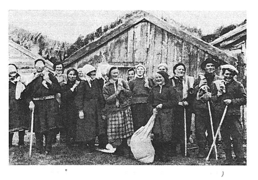 Foto: Carl Schøyen. Dunsankere på Store Tamsøy 1930-tallet