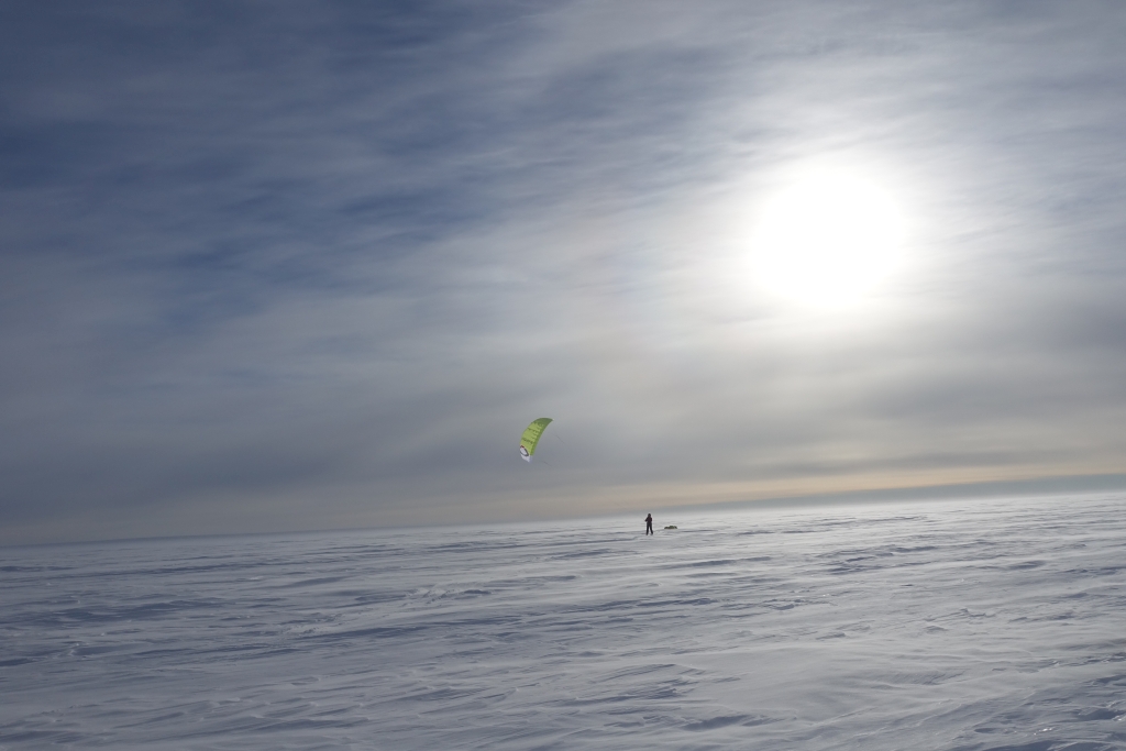 Liten drage helt &oslash;st p&aring; den stor bre. Foto: Harald Dag J&oslash;lle