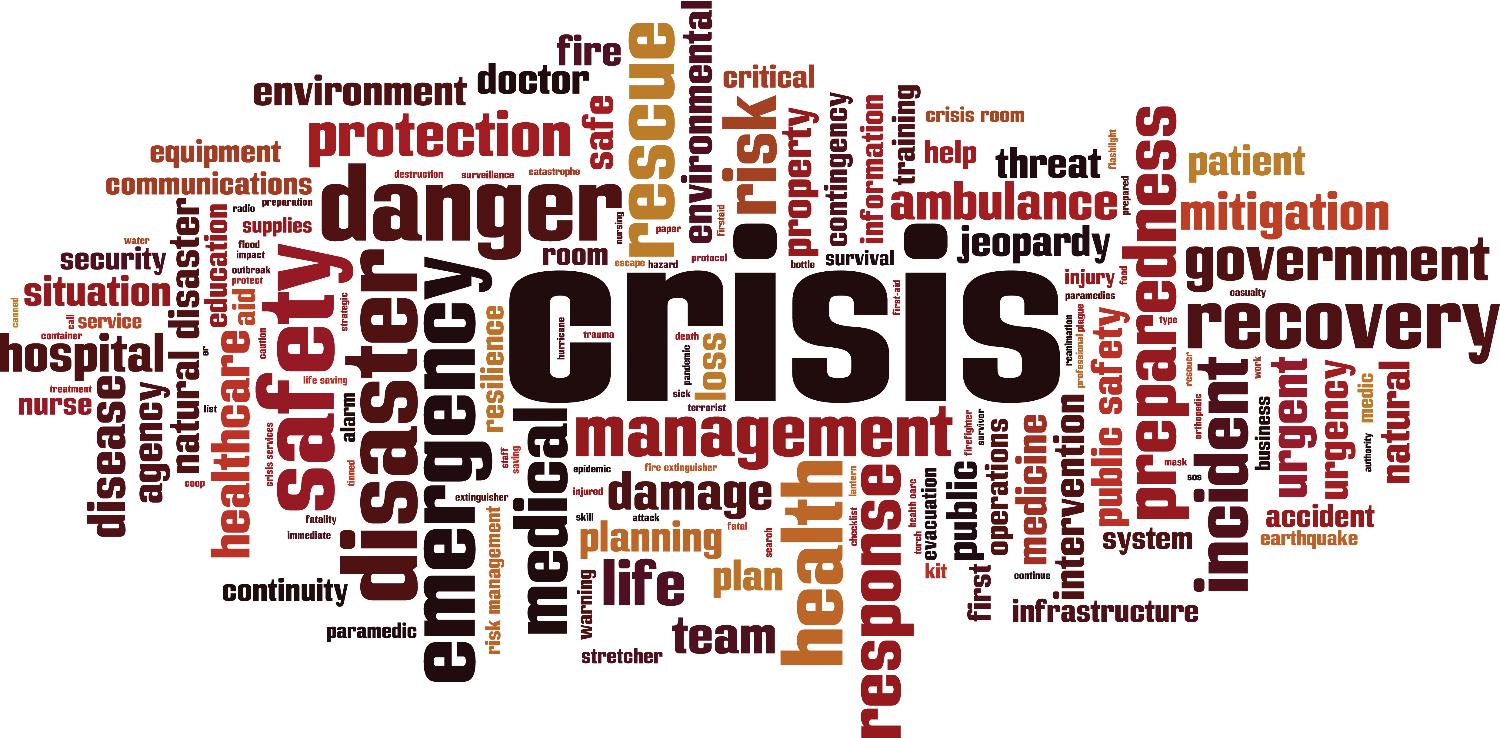 Bilde-Contemporary Issues in Risk and Crisis Management - master