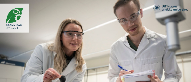 Illustrasjons-/bannerbilde for Grønn dag