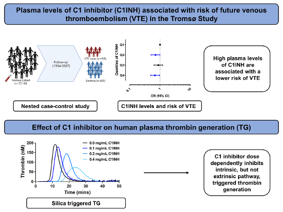 C1INH VTE Graphic Abstract.png