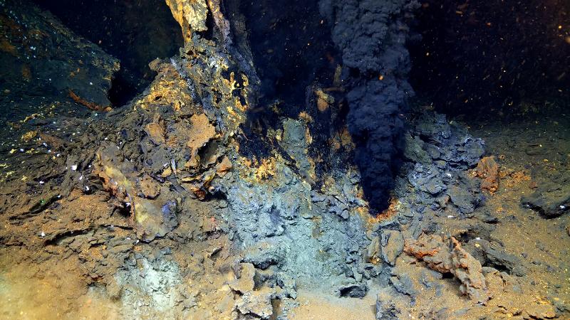 20240503_Ocean.jpg Ocean Census Arctic Deep skal utforske de dype uutforskede havdypene i Arktis.