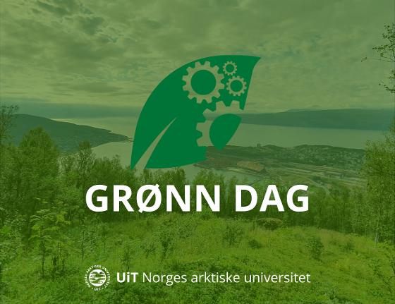 Illustrasjonsbilde for Grønn dag 2025