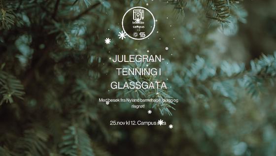 Illustrasjonsbilde for Julegrantenning i glassgata