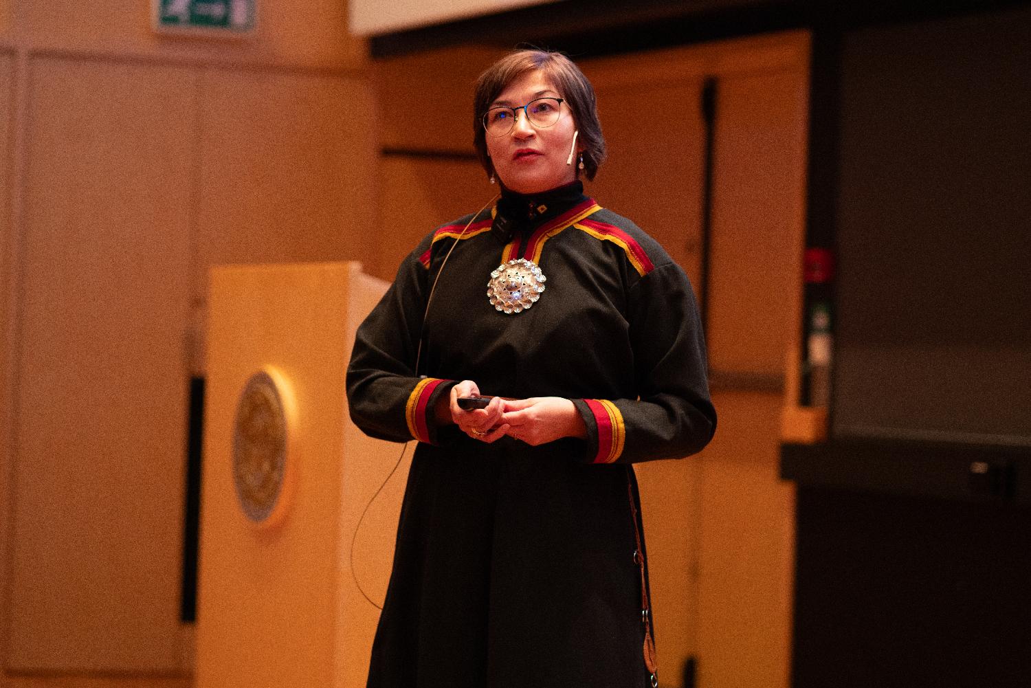 Illustrasjons-/bannerbilde for Sápmi og UiT – Sápmi ja UiT