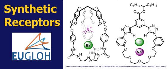 Illustrasjonsbilde for Kjemikurs i syntetiske reseptorer / Chemistry course on synthetic receptors