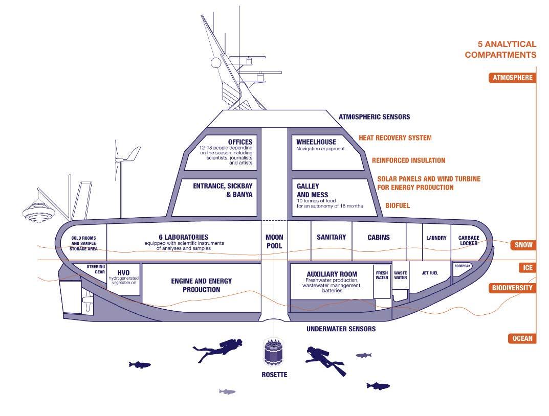 Foto: Fondation Tara Ocean