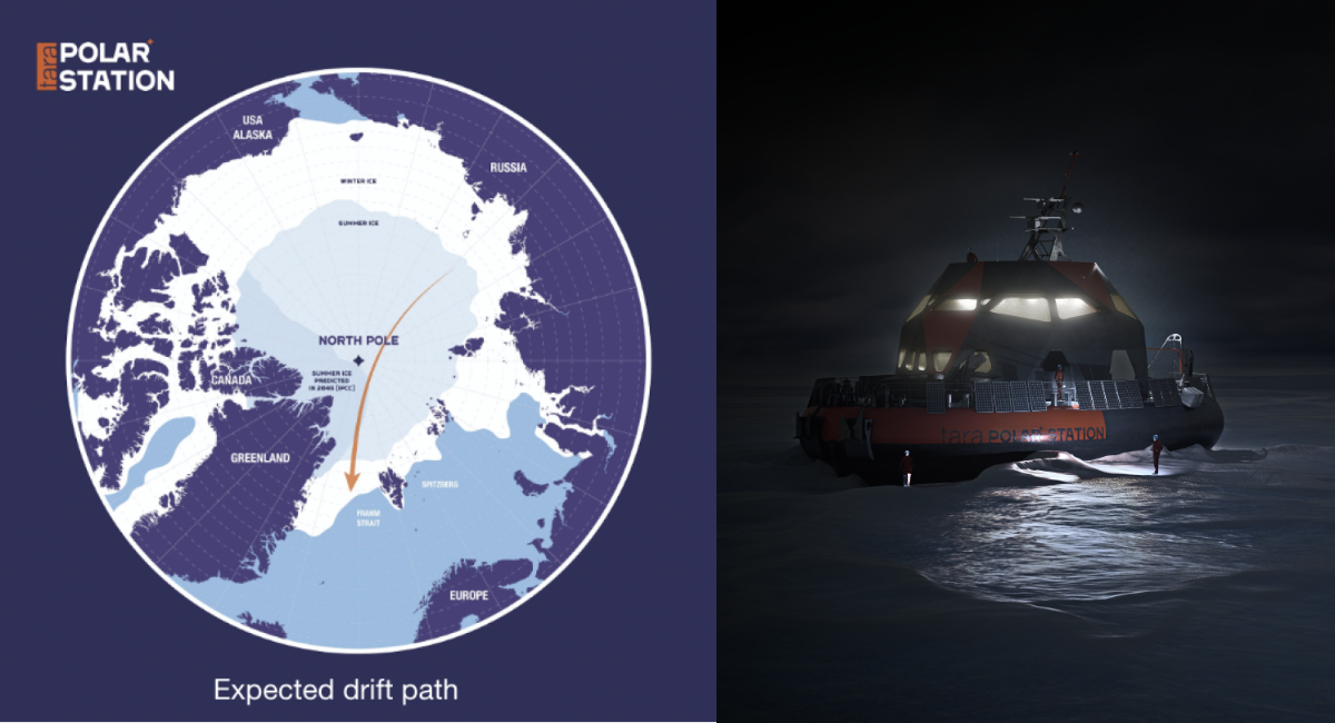 Foto: Fondation Tara Ocean