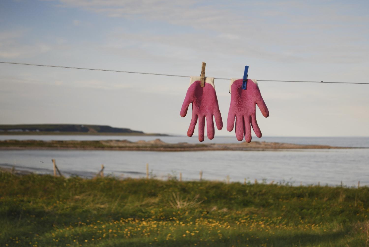 Illustrasjons-/bannerbilde for INTRODUKSJON TIL UTSTILLING | God matlyst og ingen gjeld! 