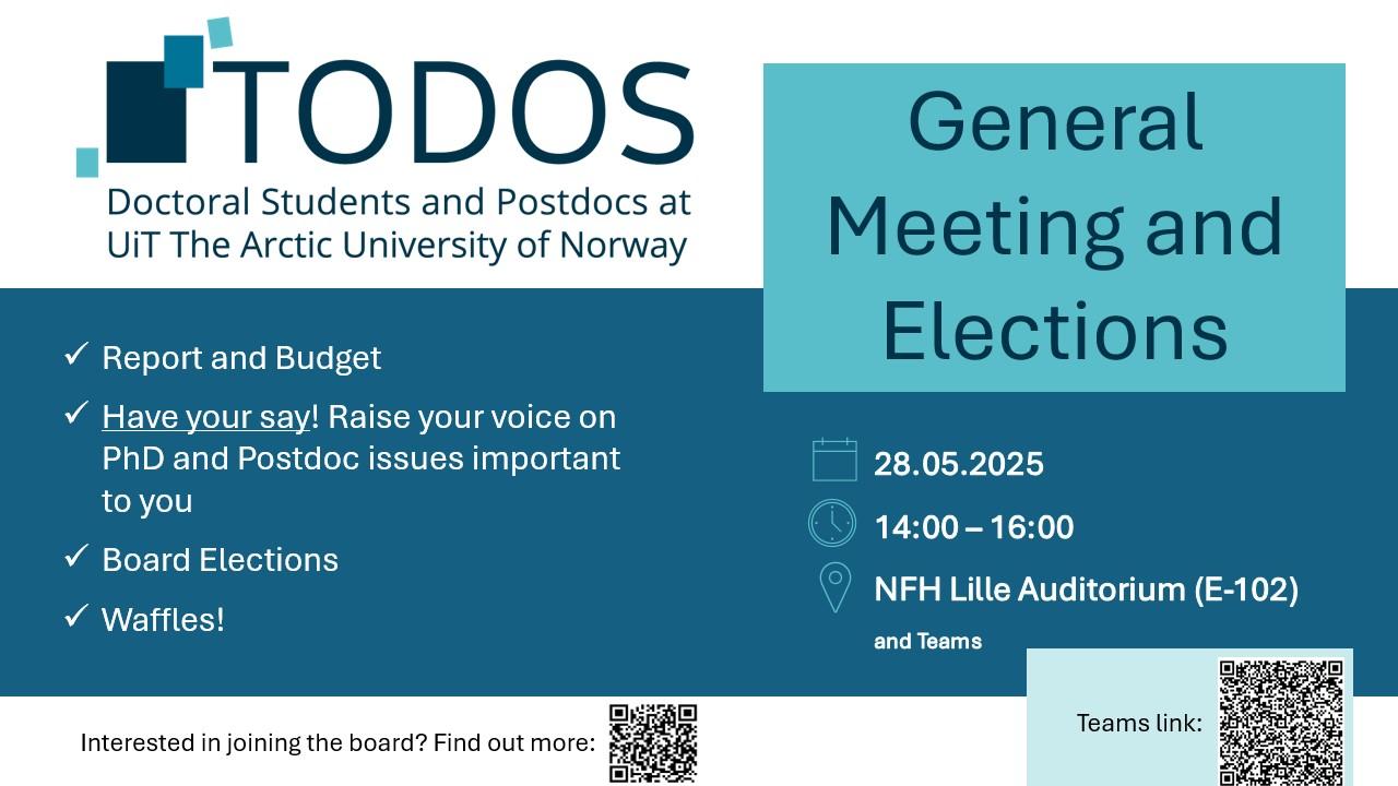Illustrasjons-/bannerbilde for TODOS Bi-Annual General Meeting and Elections