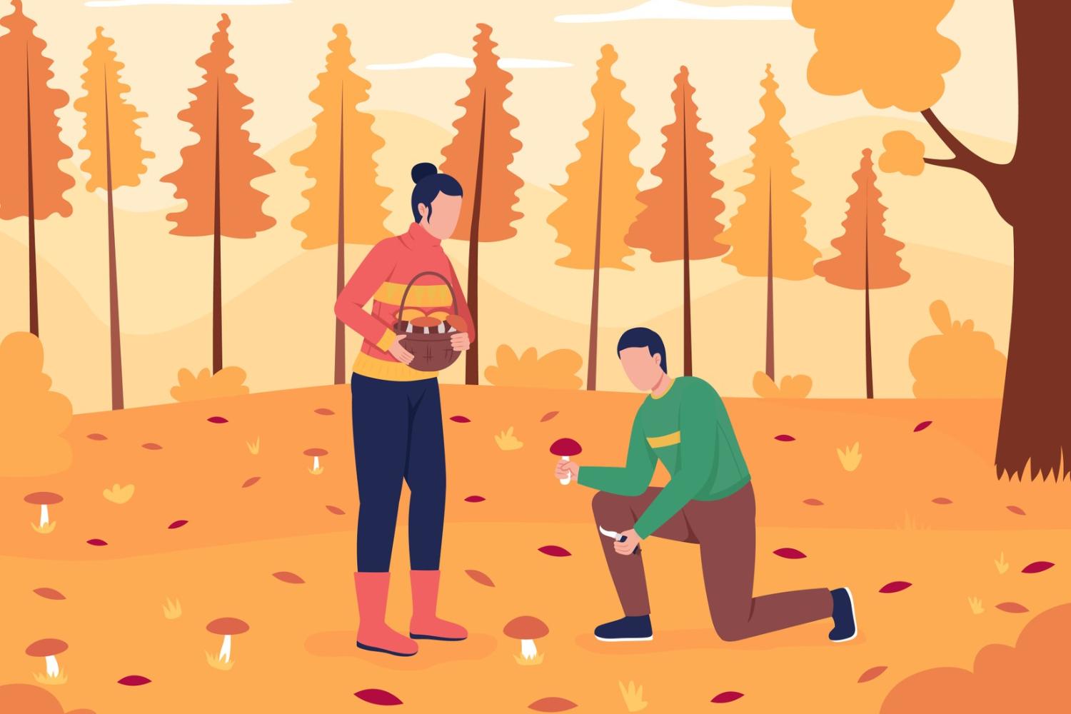 Illustrasjons-/bannerbilde for Kurs om bruk av sopp – til matlaging og medisinske formål / Course on edible, medicinal and poisonous mushrooms