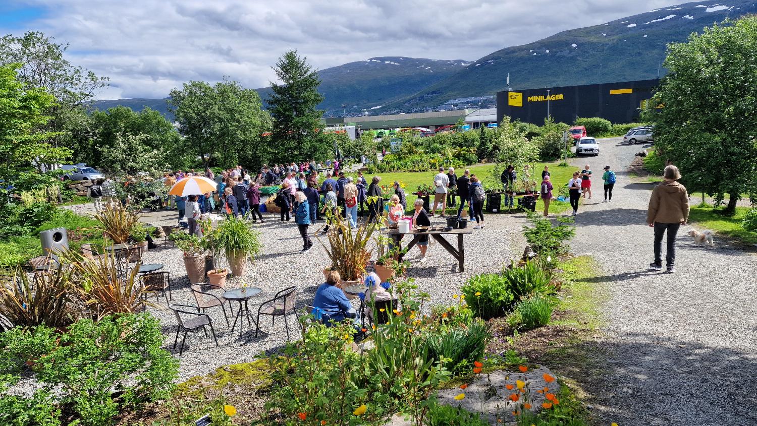 Illustrasjons-/bannerbilde for Markedsdag i Botanisk hage