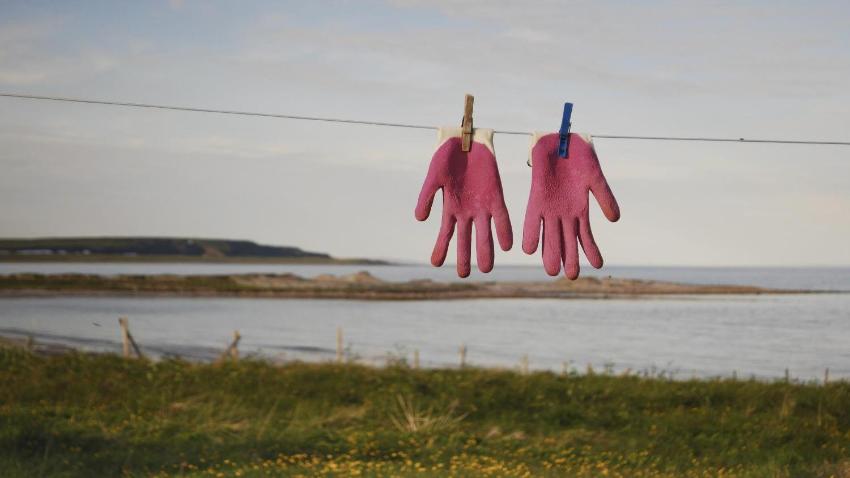 to rosa gummihansker som henger p&aring; en klessnor 