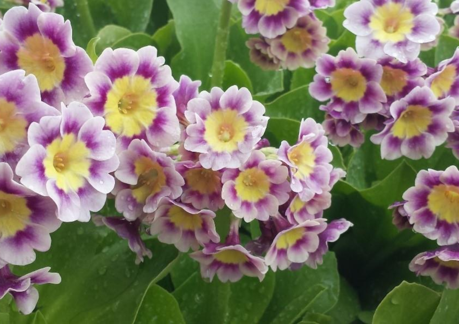 Illustrasjons-/bannerbilde for Velkommen til museene i sommer! // Welcome to the museums this summer!