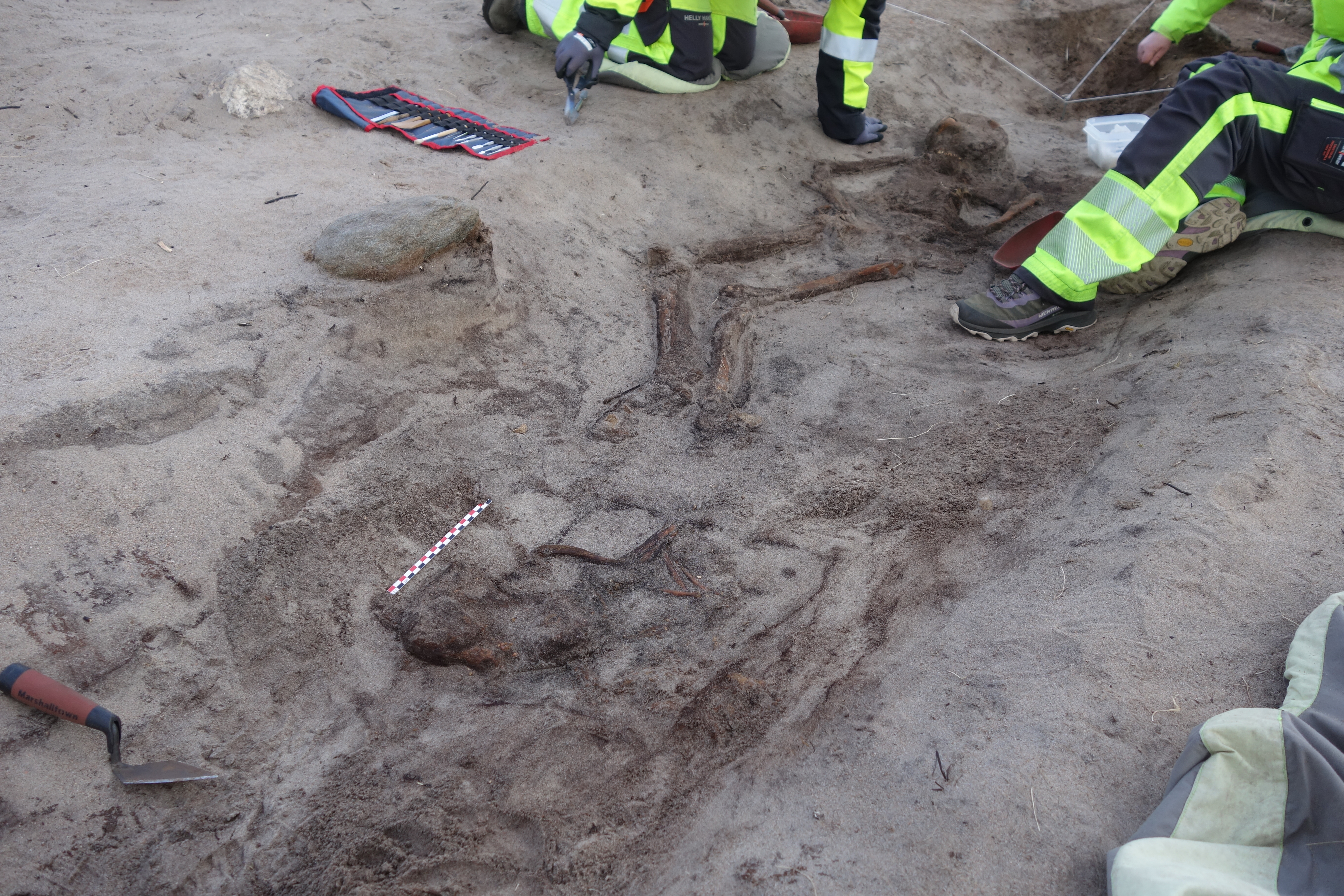 Båtgrav med hunde- og kvinne-skjelett. 