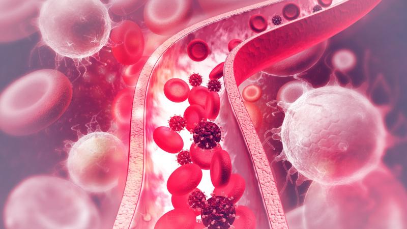 Illustrasjons-/bannerbilde for Kurs om cerebral blodstrøm og metabolisme / Course on cerebral blood flow and metabolism 