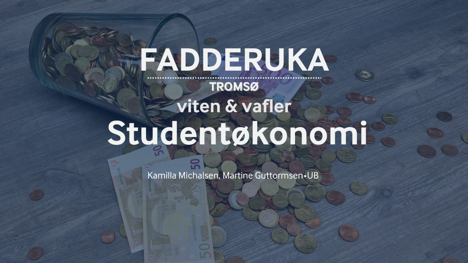 Illustrasjons-/bannerbilde for Viten & vafler: Studentøkonomi