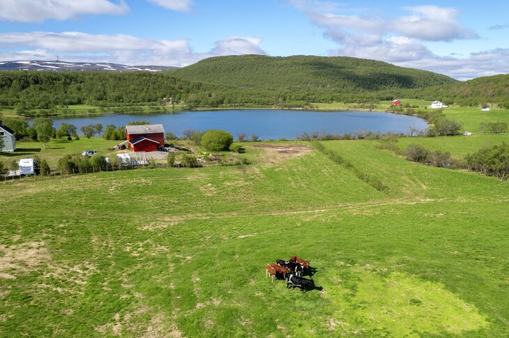 G&aring;rdsbruk i S&oslash;r-Varanger
