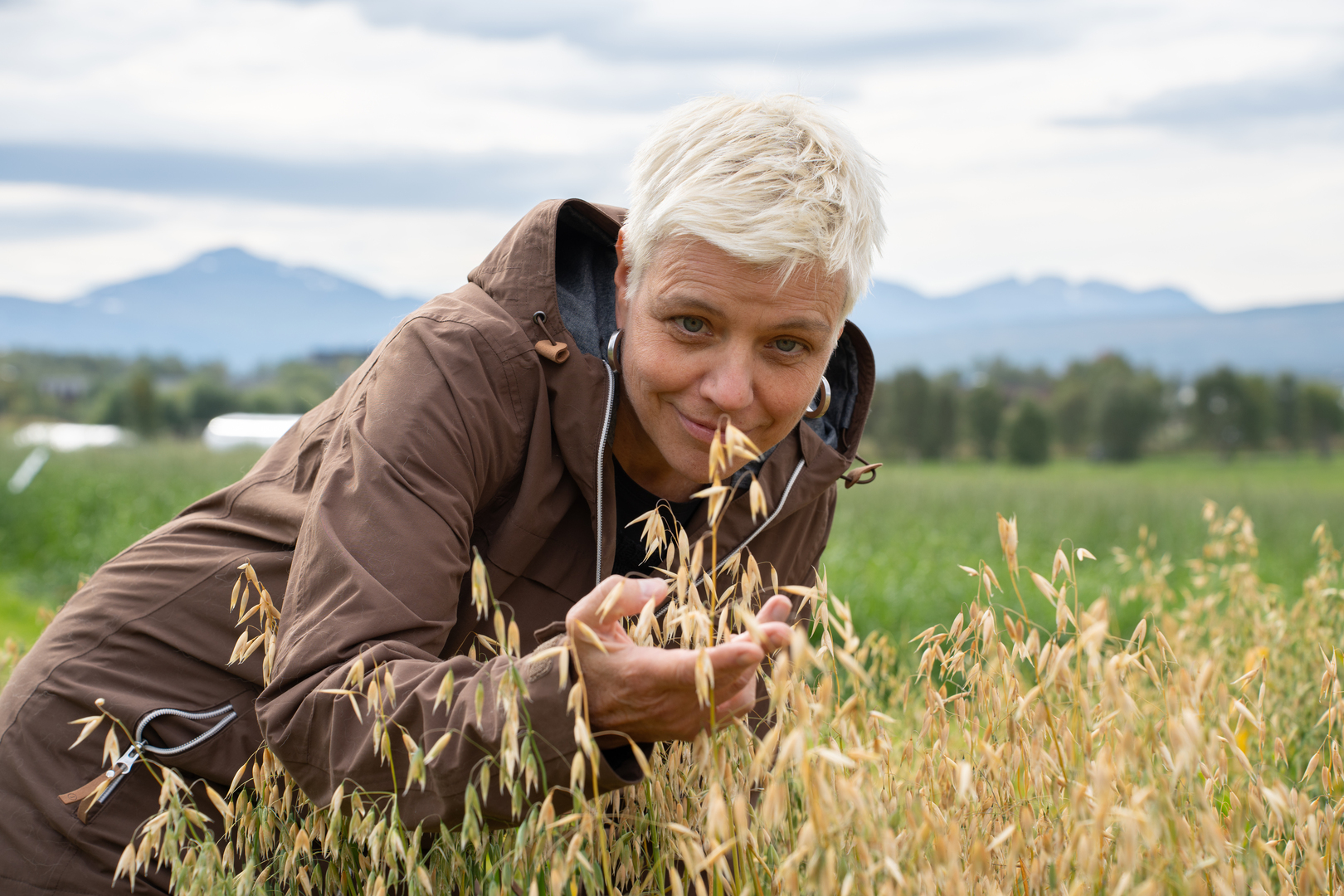 Magritt_Brustad_havre dame som kjenner på havre i åkeren