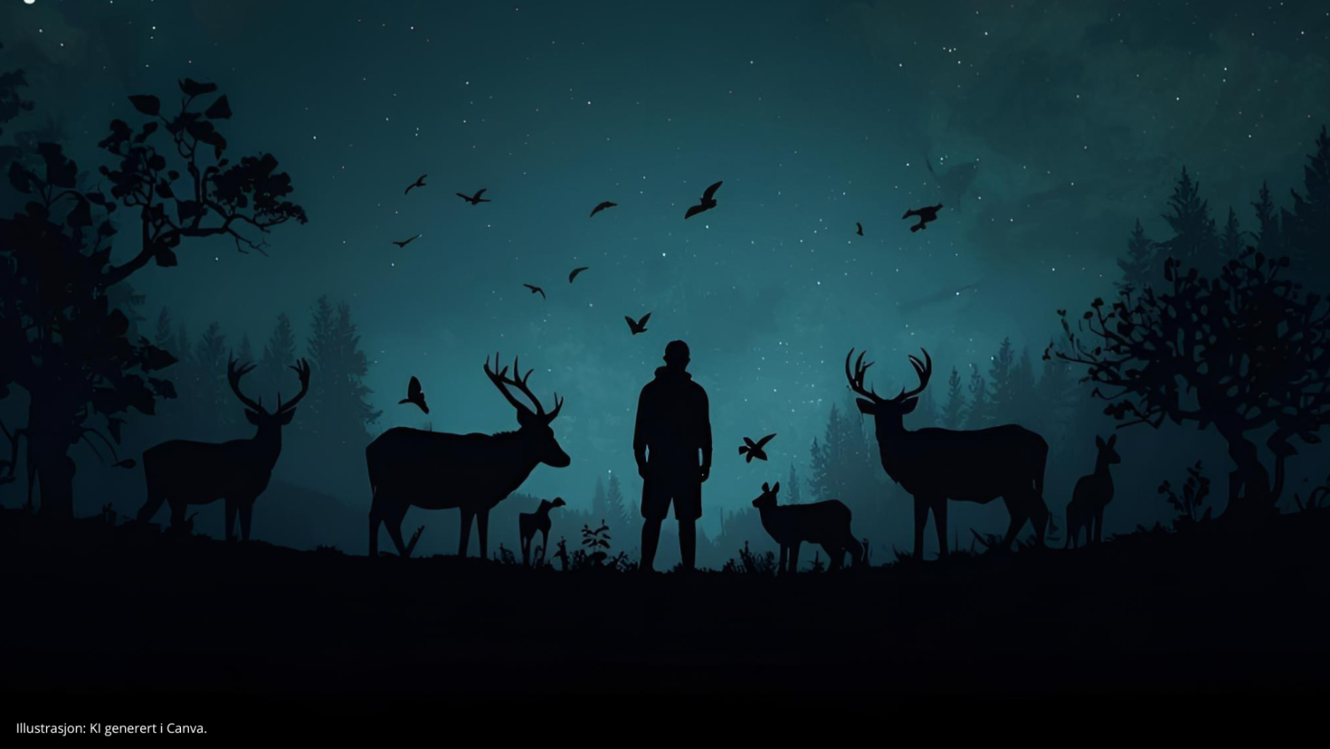 Illustrasjons-/bannerbilde for VIN&VITEN | Life in the Dark Season: How does nature cope, and what can we learn from it?