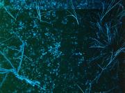 Bilde Environmental humanities gathering #61: Planning session 