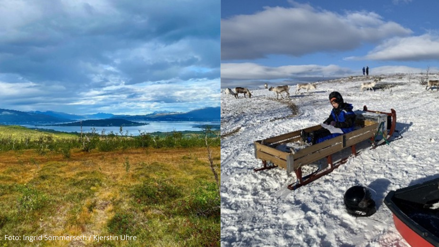 Illustrasjons-/bannerbilde for VIN&VITEN | Samisk kultur og kampen for ivaretagelse av natur: R&aacute;vdnjev&aacute;ggi/Finnheia - et presset landskapsrom
