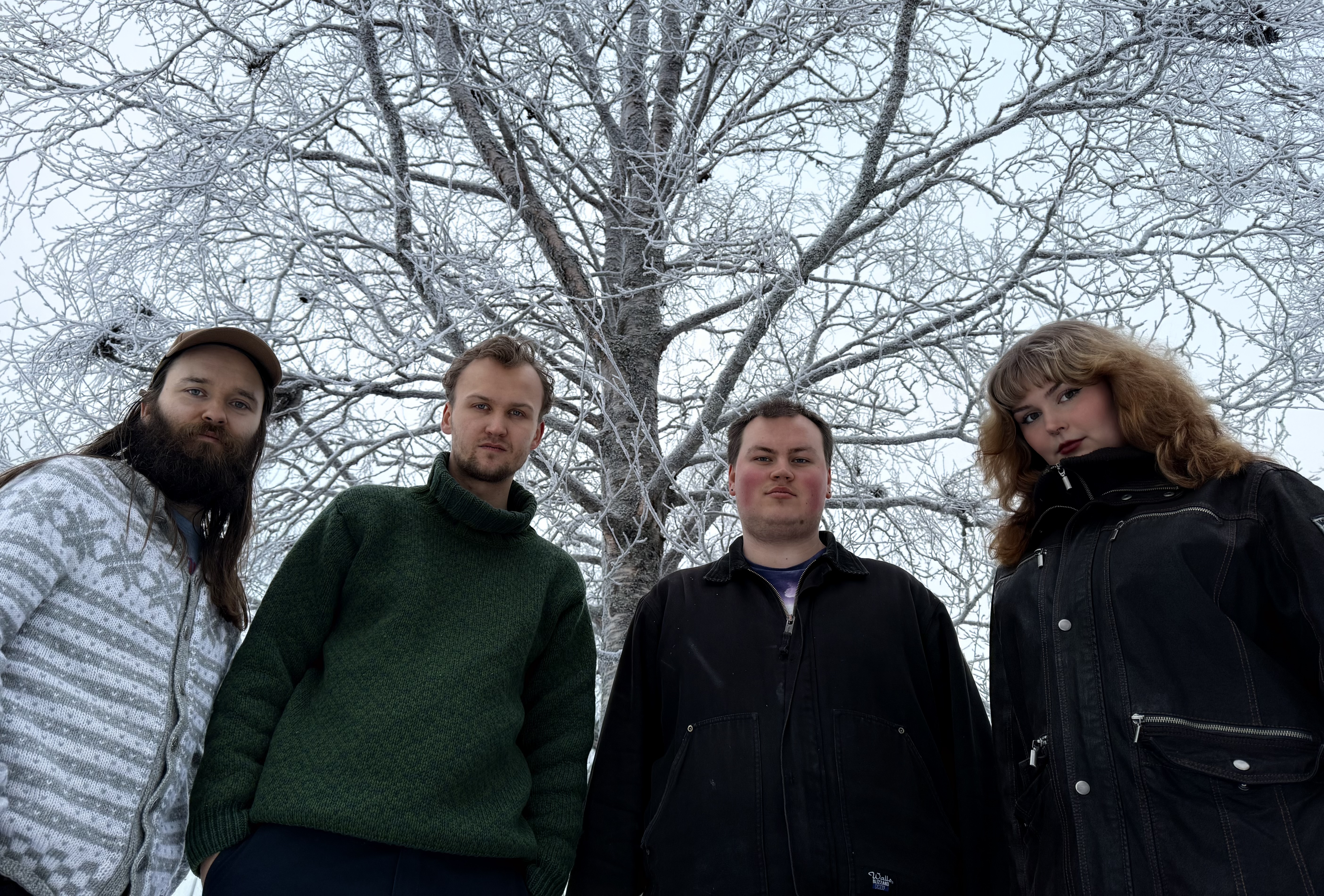 Ditch Witch.jpeg Bilde av bandet Ditch Witch