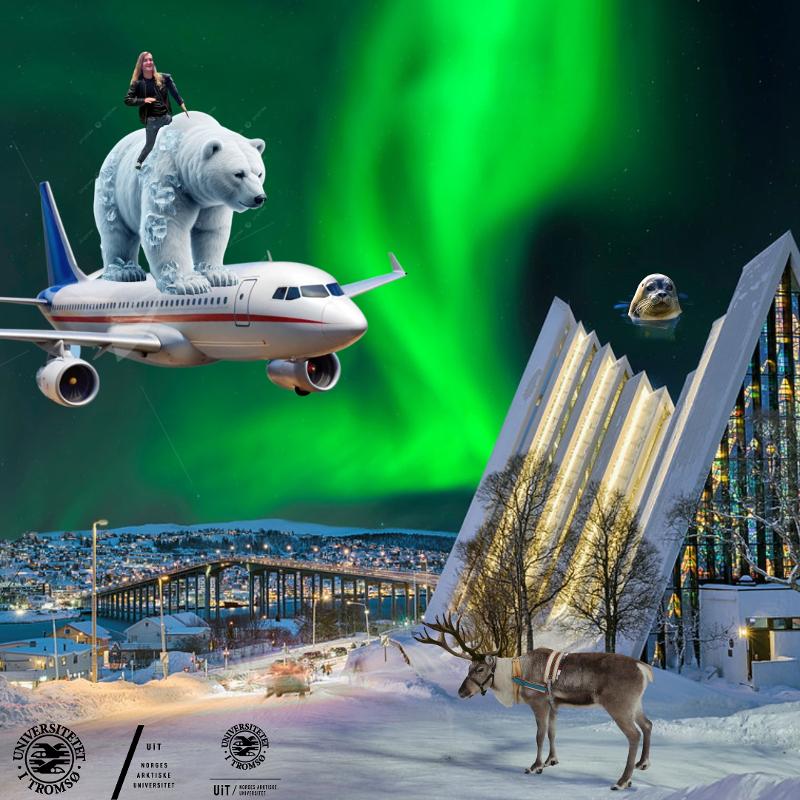 Northenmostband.jpg Bilde av et fly som flyr over Ishavskatedralen i nordlys med en isbjørn og en student på taket