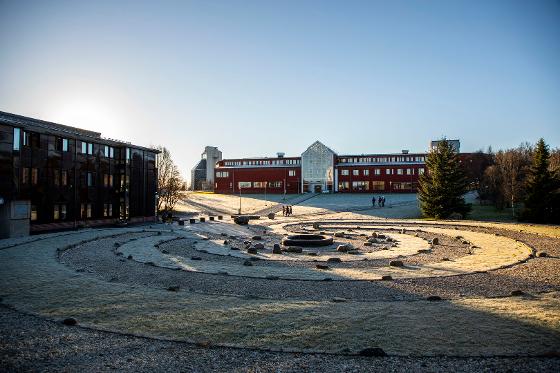 Illustrasjonsbilde for Do you want to advance the Arctic Humanities in an innovative and creative way?