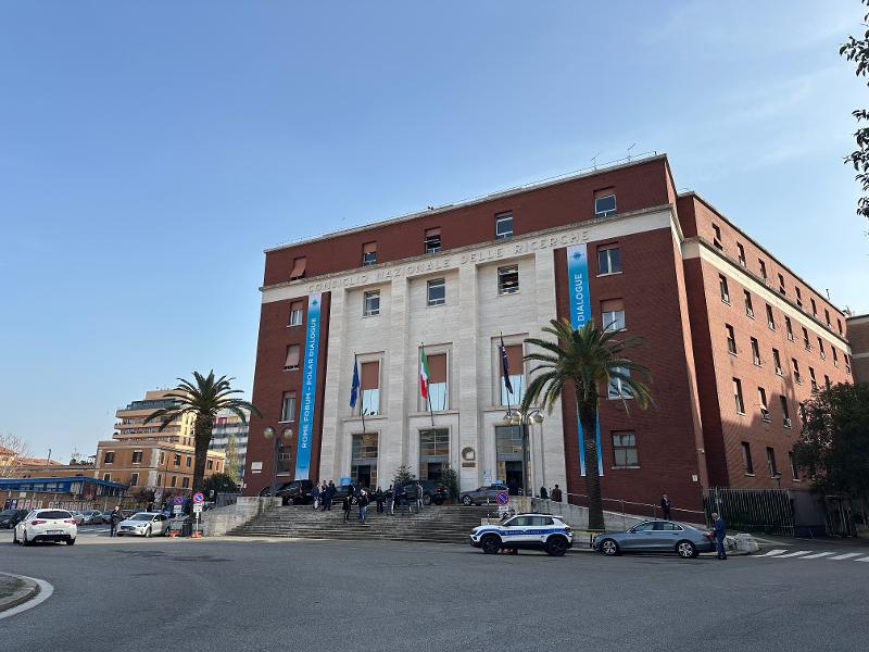 murbugg med palmetr&aelig;r foran