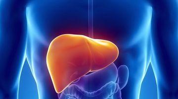 Illustrasjons-/bannerbilde for Webinar om bio-konstruksjon av vev og organer / Webinar om Webinar about bioconstruction of tissue and organs