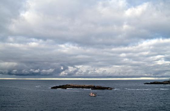 mp14826366-- (7).jpg