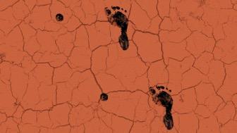 Illustrasjons-/bannerbilde for How can Indigenous knowledges uplift the health and wellbeing of people with disability?