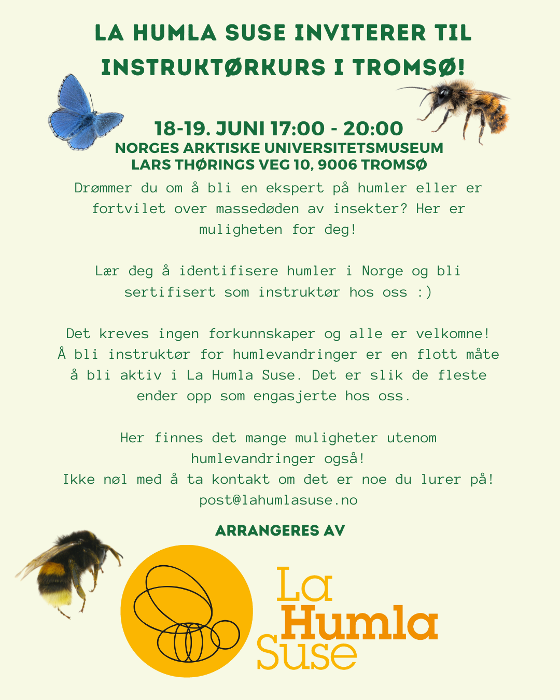 Illustrasjonsbilde for Instruktørkurs, humlevandring - Tromsø | Arr: La Humla Suse