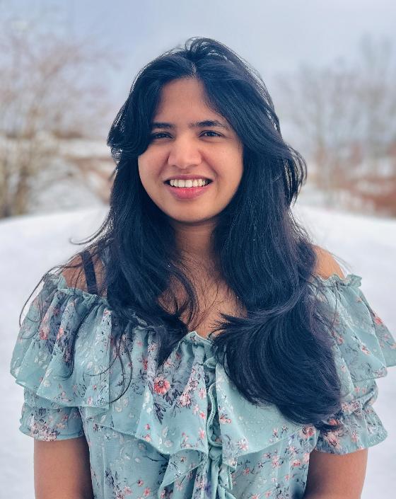 Illustrasjonsbilde for Disputas - Master of Science in Mathematics Arya Panthalanickal Vijayakumar 
